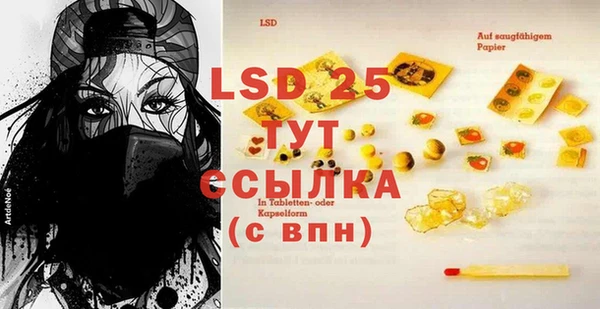 дживик Абаза