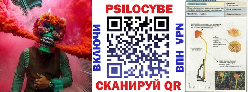 darknet состав  закладка  Лосино-Петровский  Галлюциногенные грибы прущие грибы 